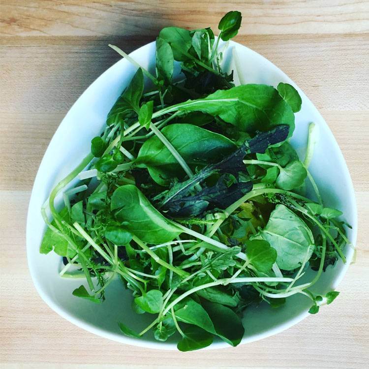 AeroFarms-Tour-and-Dream-Greens-Recipe