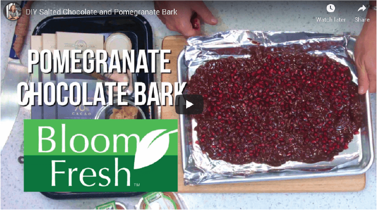 Work with Abbie Gellman - Bloom Fresh