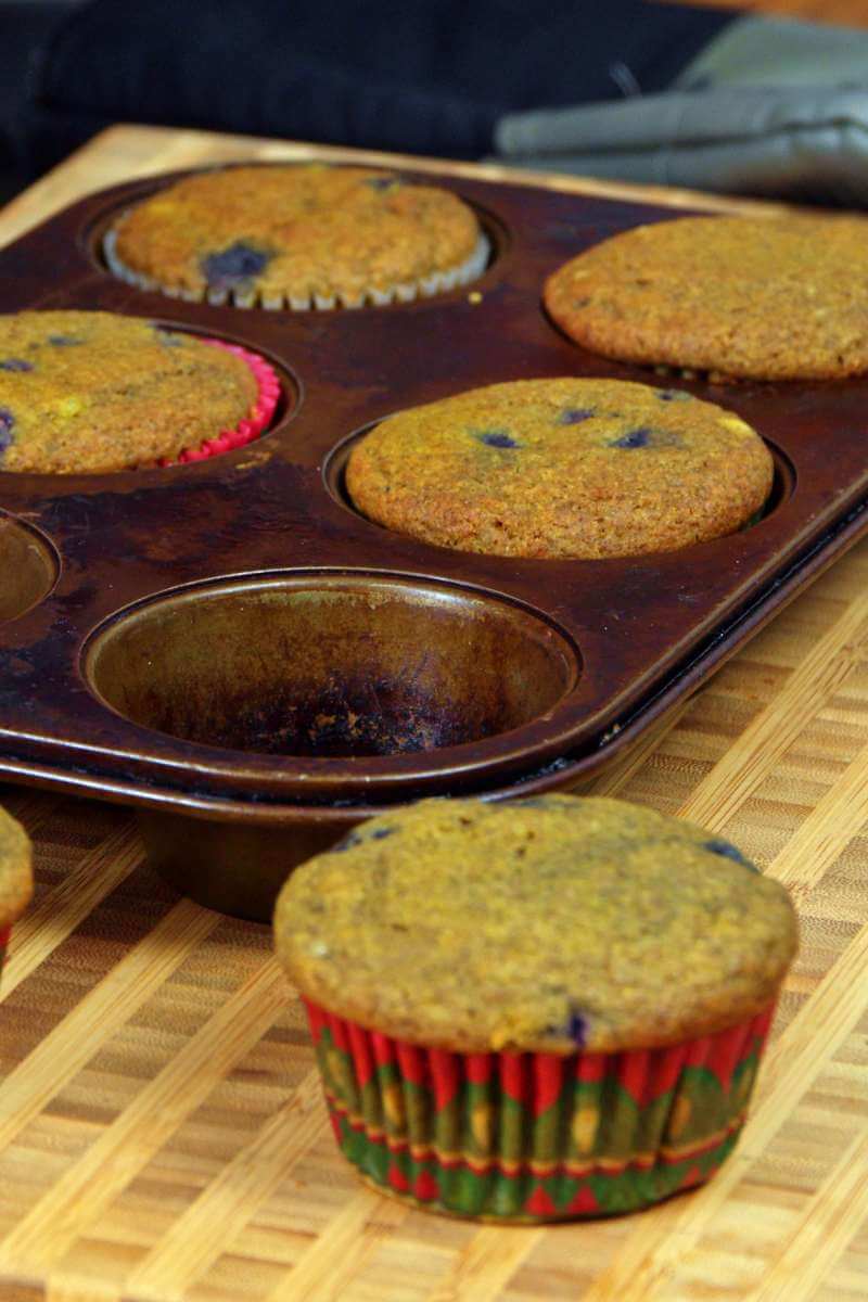 A pan of baked blueberry buckwheat muffins.